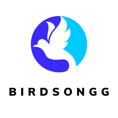 Birdsongg Travel Website Design by 5Degree